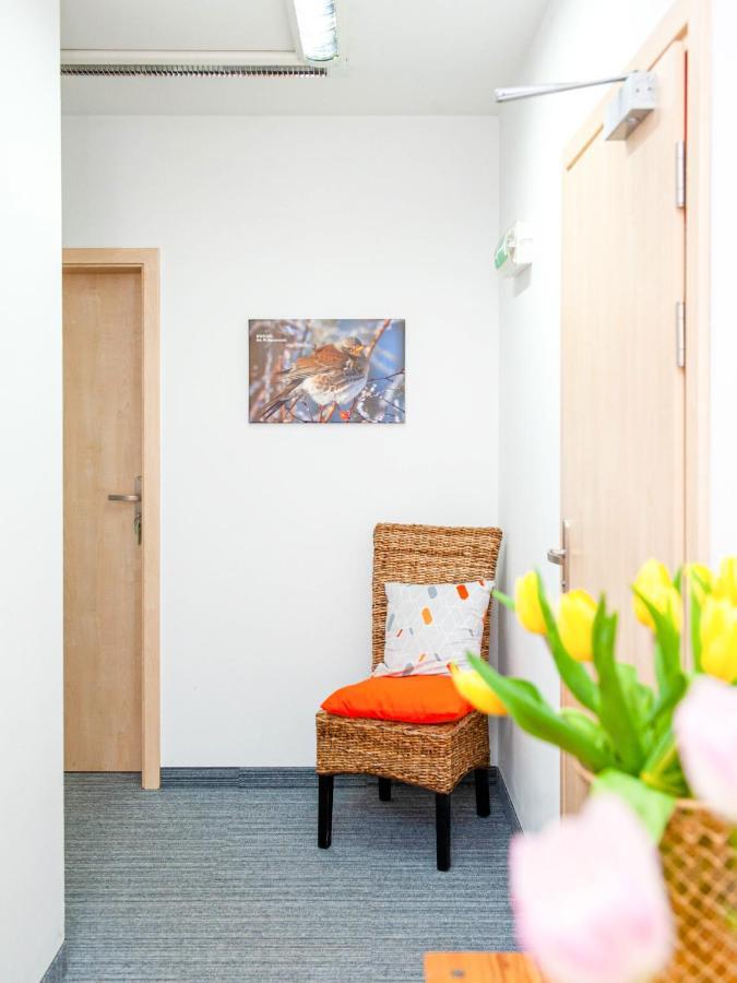 ニエホジェ Gosciniec Ptasi Zaulek Bed & Breakfast エクステリア 写真